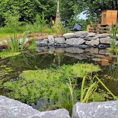 Aubepine Bed & Breakfast Sains-du-Nord Luaran gambar