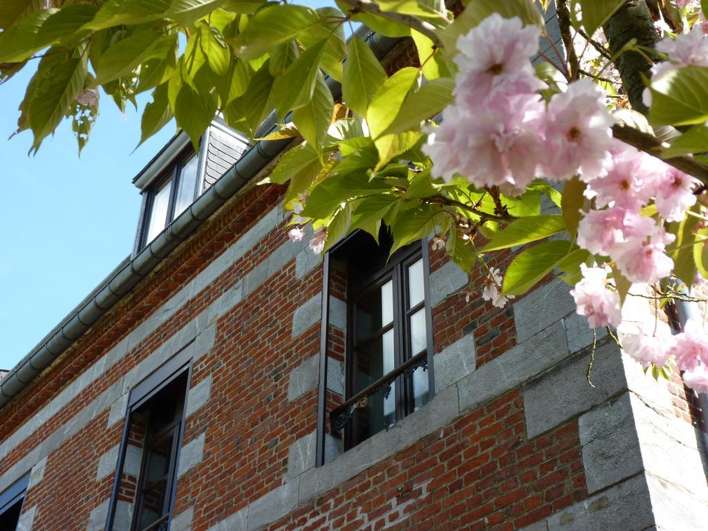 Aubepine Bed & Breakfast Sains-du-Nord Luaran gambar
